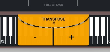 Transpose Button in Swam